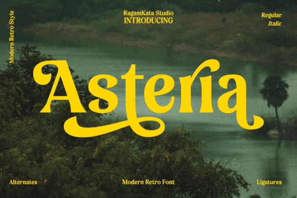 Asteria Font: Retro Serif Typography for Web Design