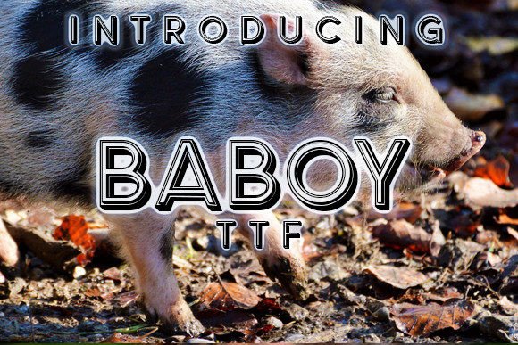Baboy Font Review: A Designer’s Take on This Display Typeface