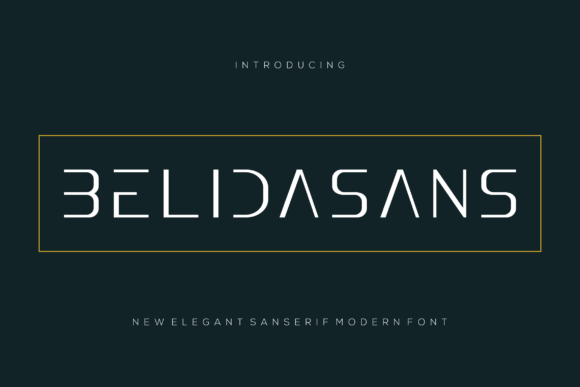 Belidasans Font: A Designer’s Branding Test