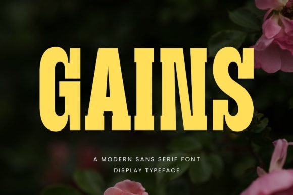 Gains Font: A Modern Sans Serif for Web Design