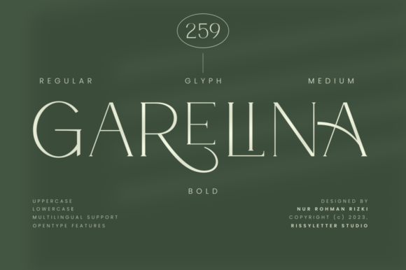 Garelina Font: Elevating Digital Brand Identity