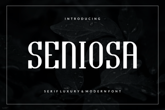 Seniosa Font: Bold Display Typography for Campaigns